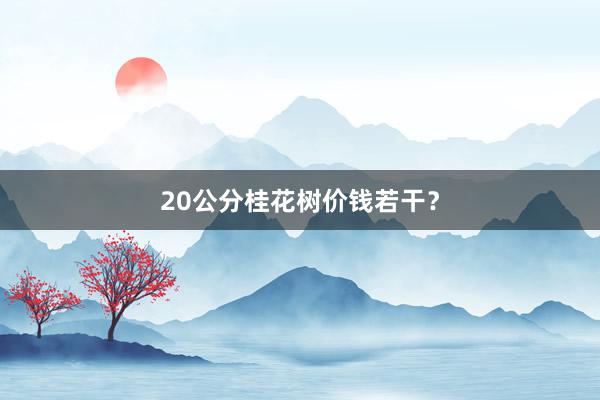 20公分桂花树价钱若干?